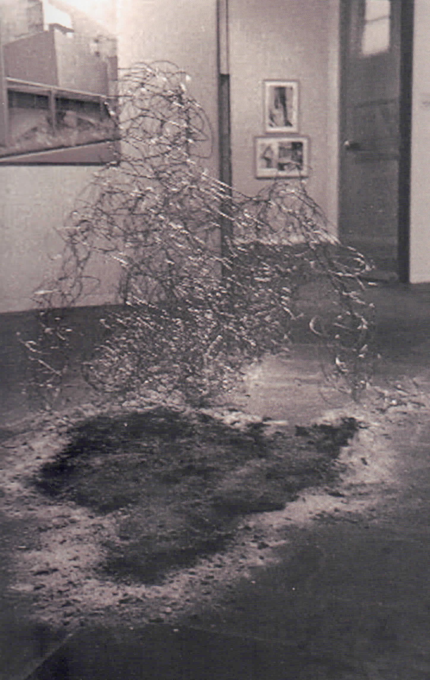 La Sombra